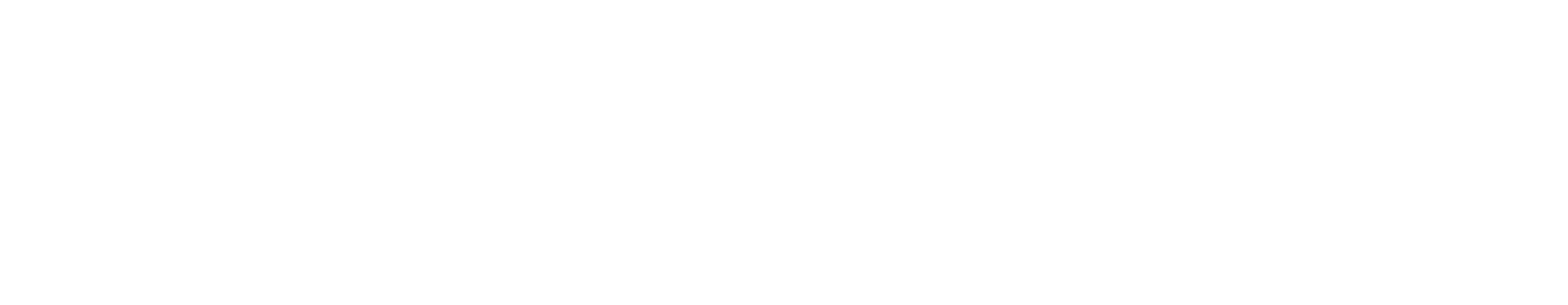 White logo - no background-2